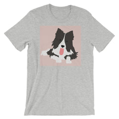 Thirsty Border Collie