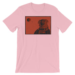 Border Collie Space Dog