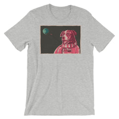 Border Collie Space Dog