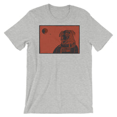 Border Collie Space Dog