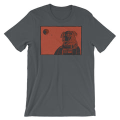 Border Collie Space Dog