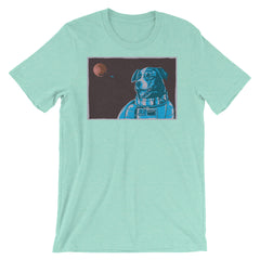 Border Collie Space Dog