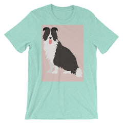 Border Collie Good Boy