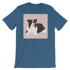 Border Collie Coolin'