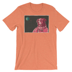 Border Collie Space Dog