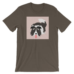 Border Collie Laying Low