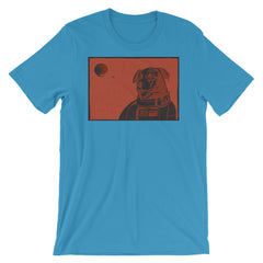 Border Collie Space Dog