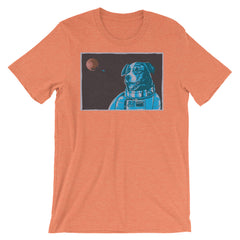 Border Collie Space Dog