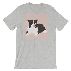 Border Collie Coolin'