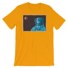 Border Collie Space Dog