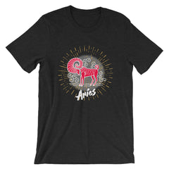 Aries Zodiac Sign