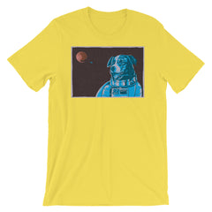 Border Collie Space Dog