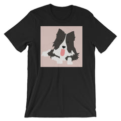 Thirsty Border Collie