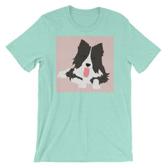 Thirsty Border Collie