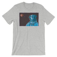 Border Collie Space Dog