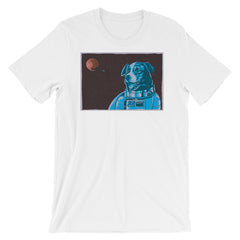 Border Collie Space Dog