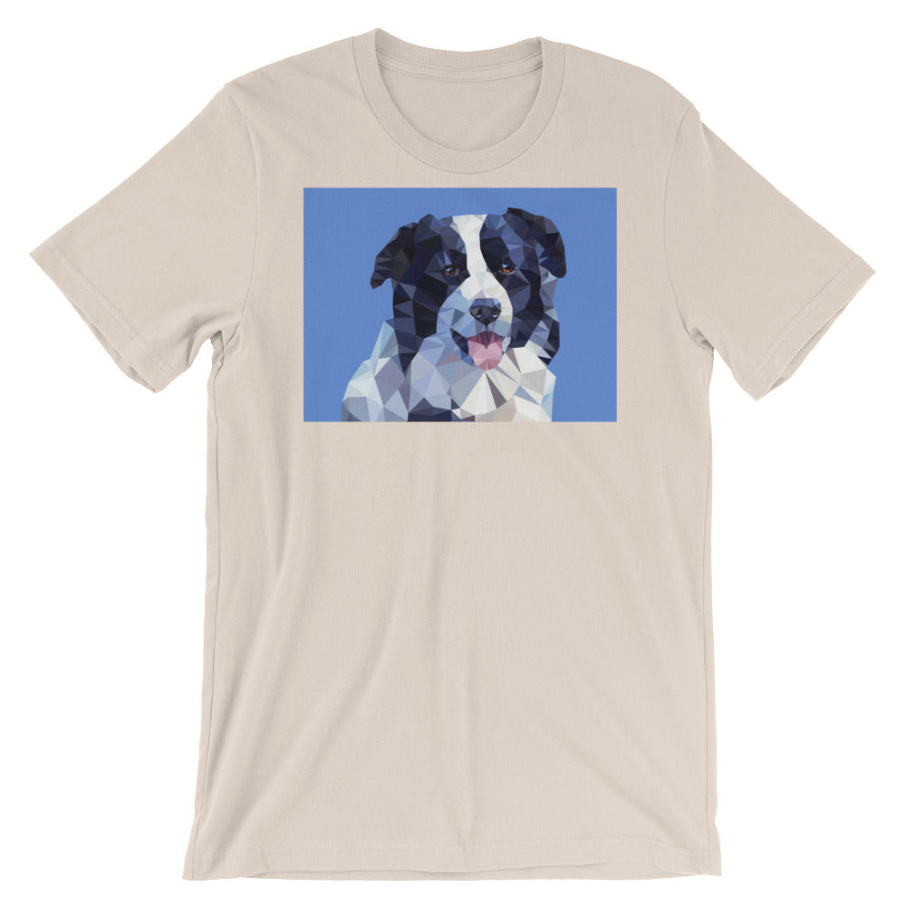 Abstract Border Collie