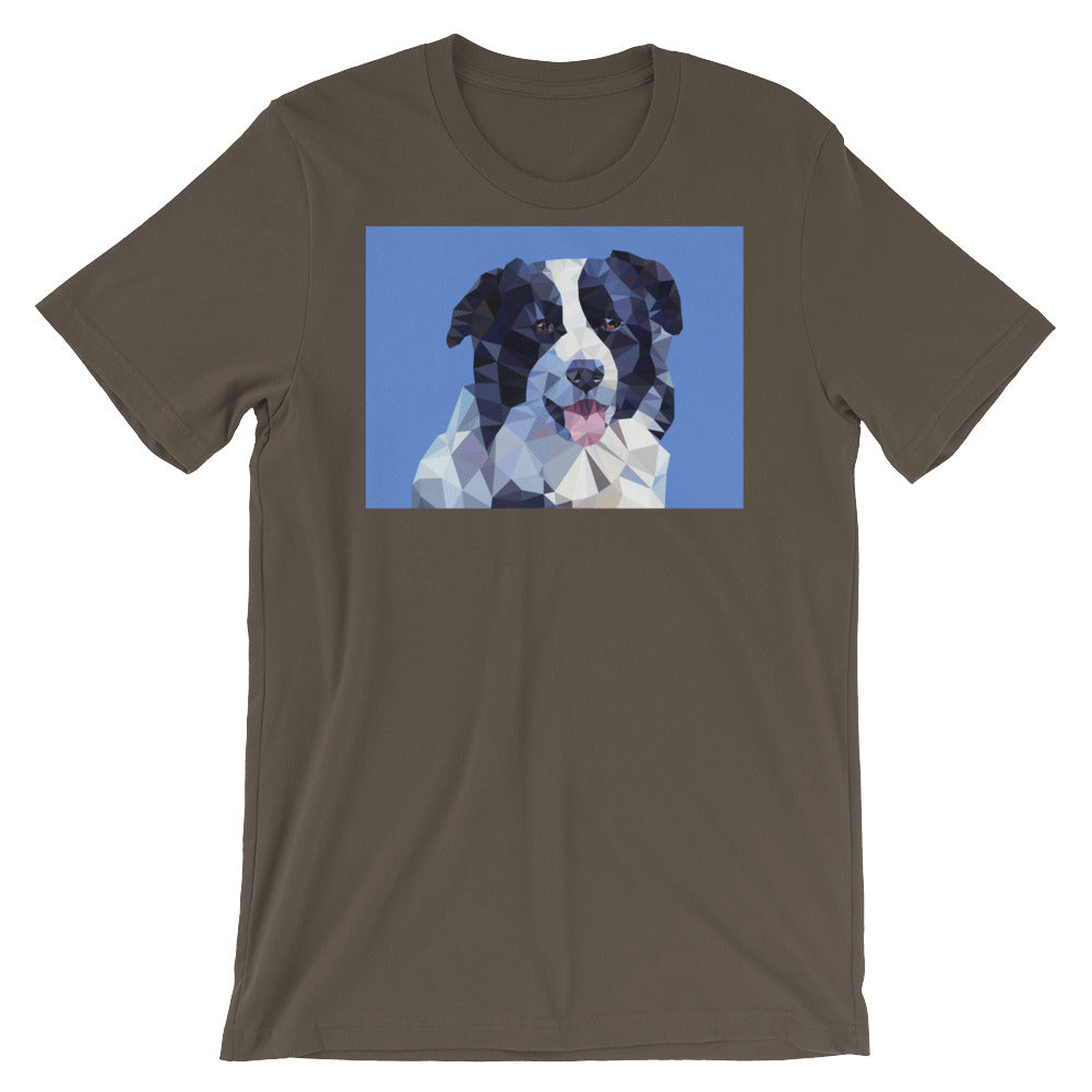 Abstract Border Collie