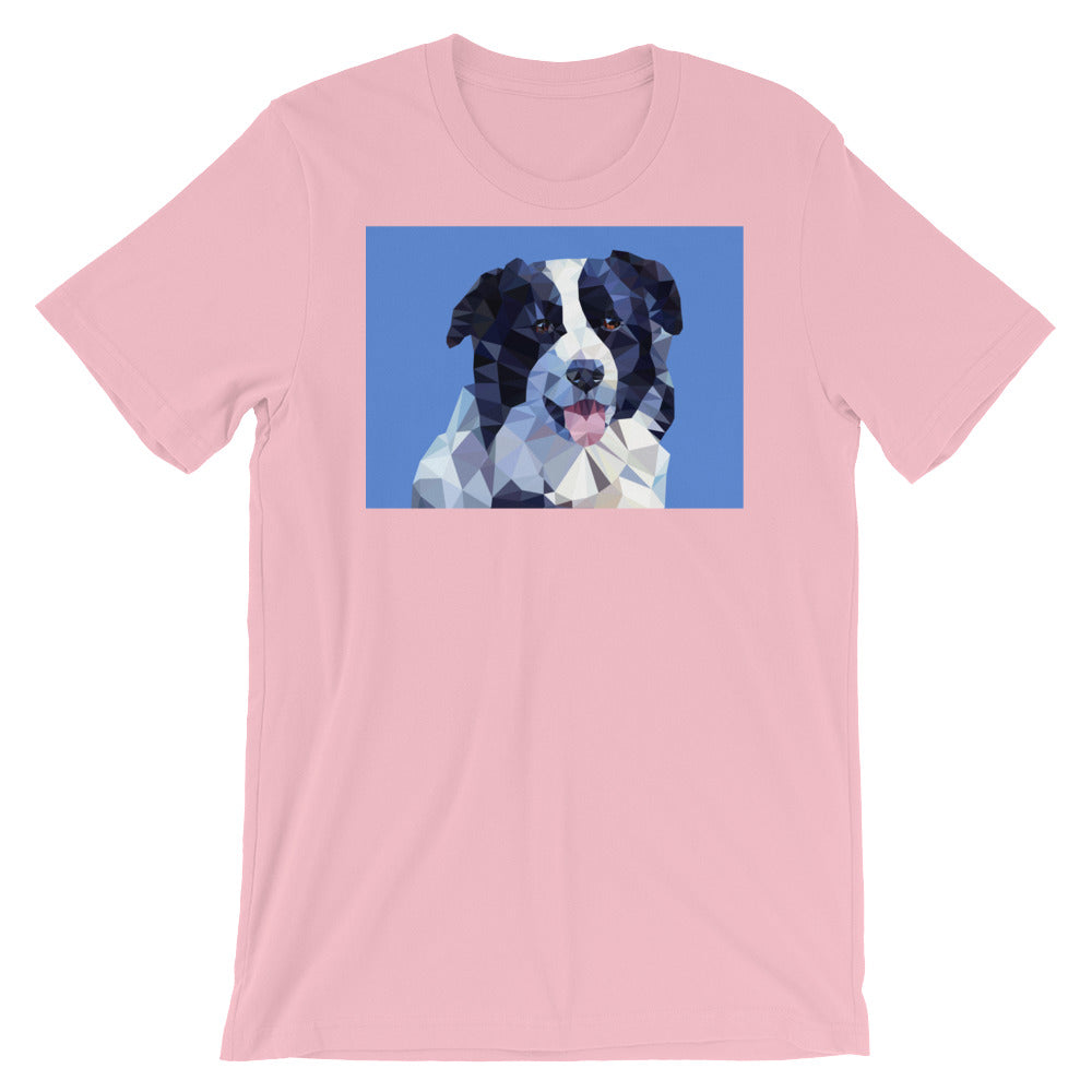 Abstract Border Collie