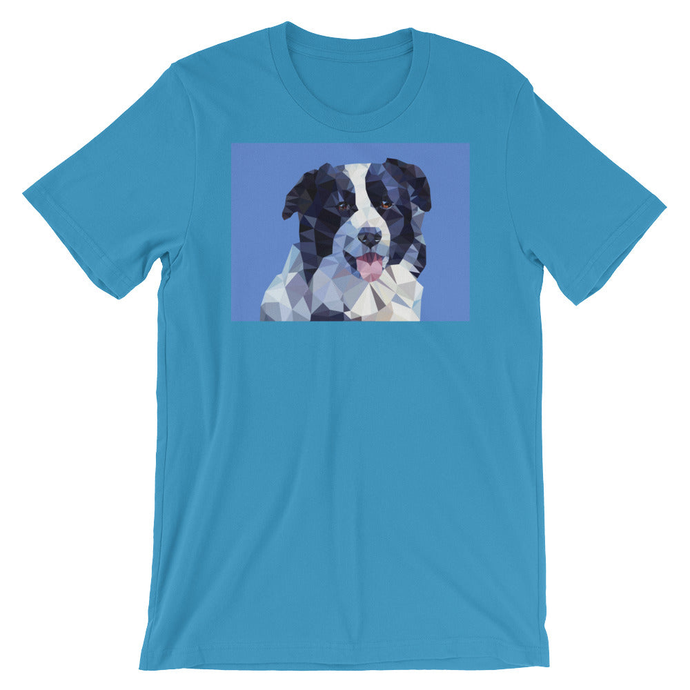 Abstract Border Collie