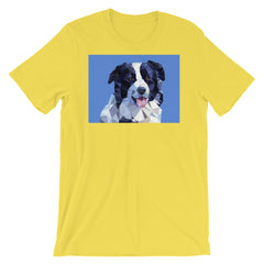 Abstract Border Collie