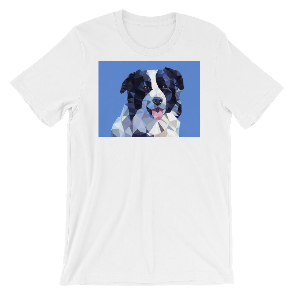 Abstract Border Collie