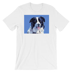 Abstract Border Collie