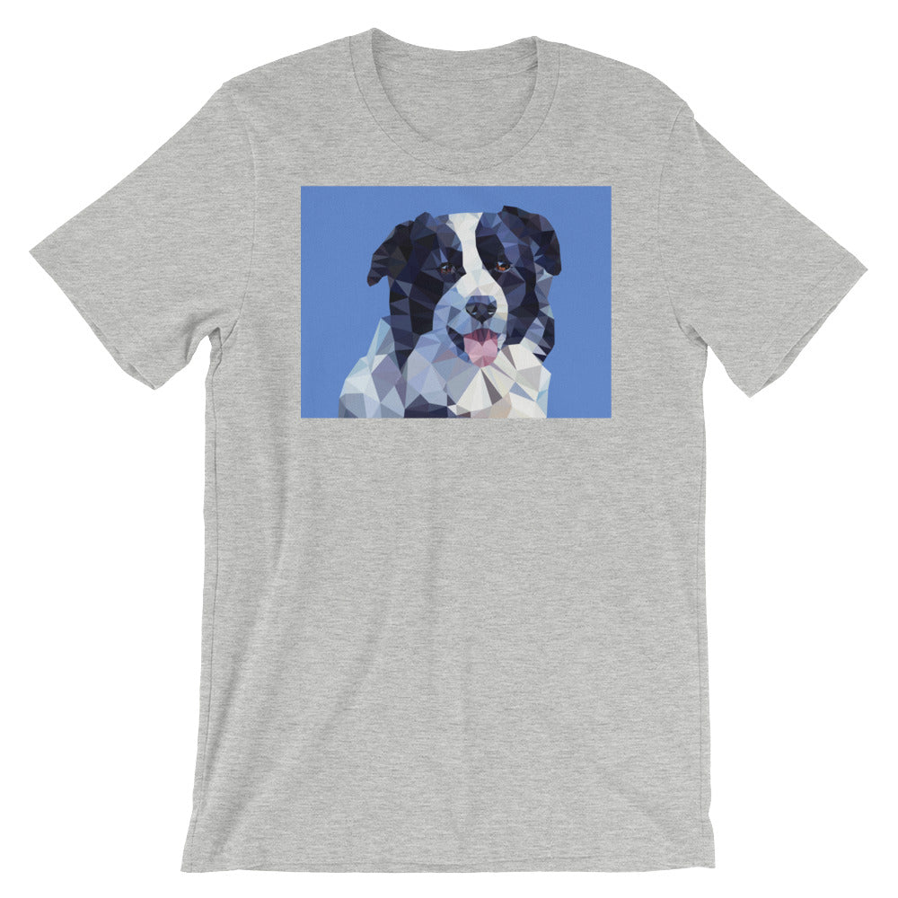 Abstract Border Collie